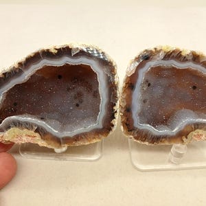 May include: Two matching agate geode halves. The geodes have a brown and white outer edge, a white and blue inner edge, and a dark brown center with crystal formations. They are displayed on clear stands.