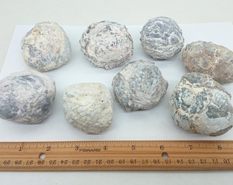 Bulk 2 Pound Group of Small 1.50-2" Utah Dugway Geode Thundereggs, Mine Direct, Fluorescent!