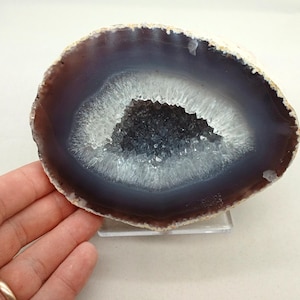 Classic 5.50&quot; Cut Polished Brazilian Agate Quartz Geode Half, 2.34 Pounds