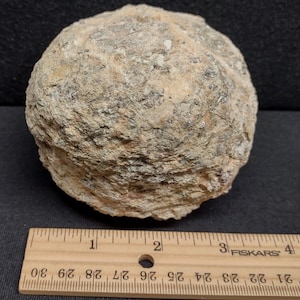 Lightweight Guaranteed Hollow 3.50&quot; Quartz Mexican Trancas Chihuahua Geode