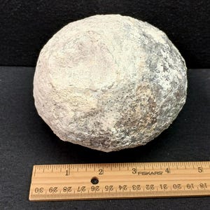 May include: A rounded, light-coloured rock with a rough, textured surface. The rock is a mix of grey and off-white hues. A wooden ruler with centimetre markings is at the bottom of the image, providing scale.