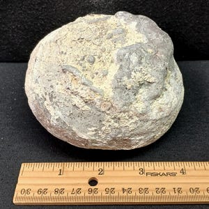 Puede incluir: Una piedra redondeada y desgastada con una superficie rugosa y texturizada. La piedra tiene una mezcla de tonos grises, beige y marrones. Una regla de madera con marcas de centímetros se coloca junto a la piedra.