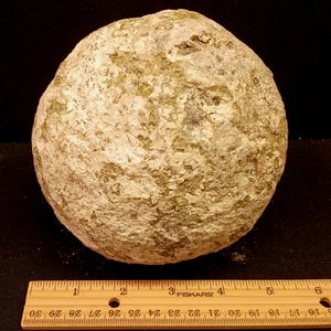Könnte beinhalten: Eine kugelförmige Geode mit rauer Textur und einer gesprenkelten beigen, hellbraunen und grauen Außenfläche. Die Geode liegt direkt über einem hölzernen Fiskars-Lineal, das einen Durchmesser von etwa 11,5 Zentimetern anzeigt.