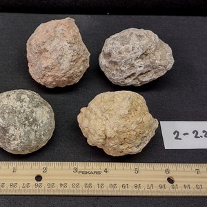Mexican Geode Variety Pack - Guaranteed Hollow, 2-4" Diameter, 4 Geodes per Pack