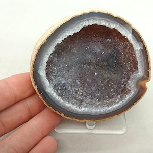 Super Hollow 3.30&quot; Cut Polished Brazilian Agate Quartz Geode Half, 0.62 Pound
