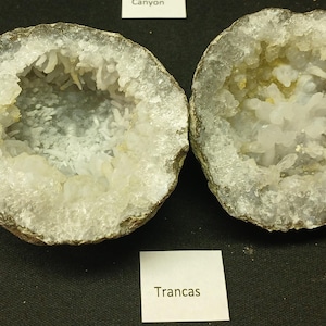 Deluxe Geode Variety Pack, Guaranteed Hollow, 2-4