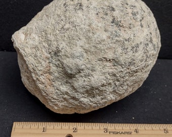 Very Lightweight Guaranteed Hollow 4.75" Quartz Mexican Trancas Chihuahua Geode