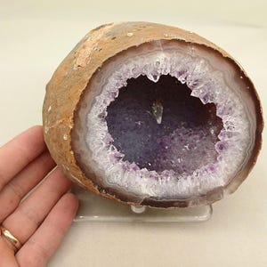 以下が含まれることがあります： 粗い茶褐色の外殻と、濃い紫色の紫水晶で覆われた空洞を持つ、大きな丸みを帯びたジオード。結晶の空洞は、薄い明るい色の縞模様の瑪瑙の層で囲まれており、自然の鉱物形成を示しています。