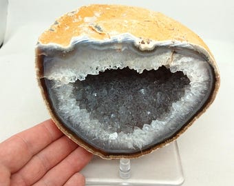 May include: A geode cut in half, revealing a cavity lined with sparkling crystals. The outer shell is a light tan color, transitioning to a white and gray band before the dark gray crystal interior. The geode is displayed on a clear stand.
