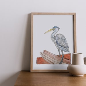 Blue Heron Print // A Fortune River Heron // Prince Edward Island Art // Unique Illustration