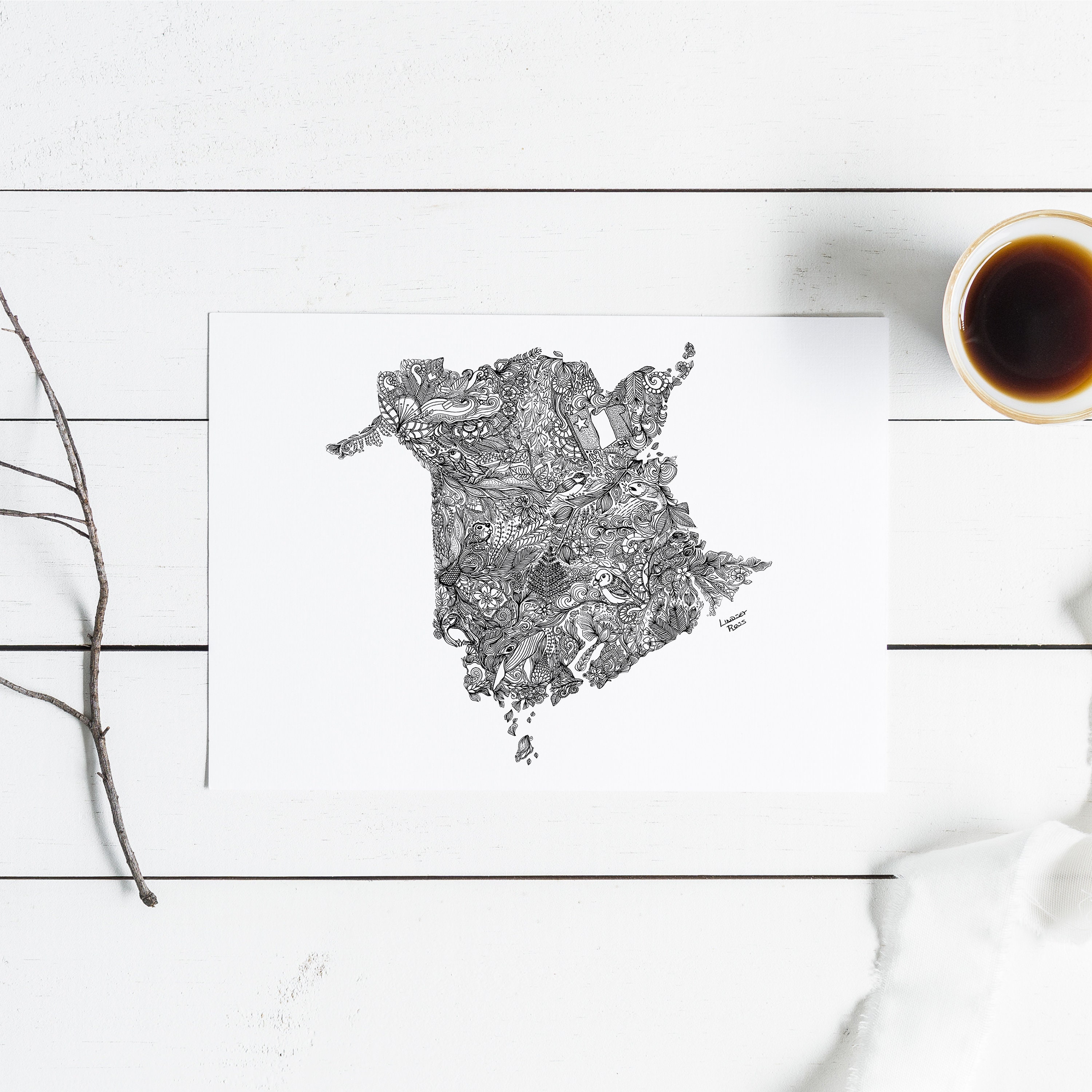 New Brunswick Card New Brunswick Print Wild New Brunswick Etsy Canada