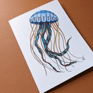 Puede incluir: Una medusa azul y marr&oacute;n con una ilustraci&oacute;n detallada de su campana y tent&aacute;culos. La medusa tiene una campana circular con un patr&oacute;n de rayas azules y blancas y una serie de puntos rojos. Los tent&aacute;culos son largos y fluidos, con una mezcla de colores azules y marrones.