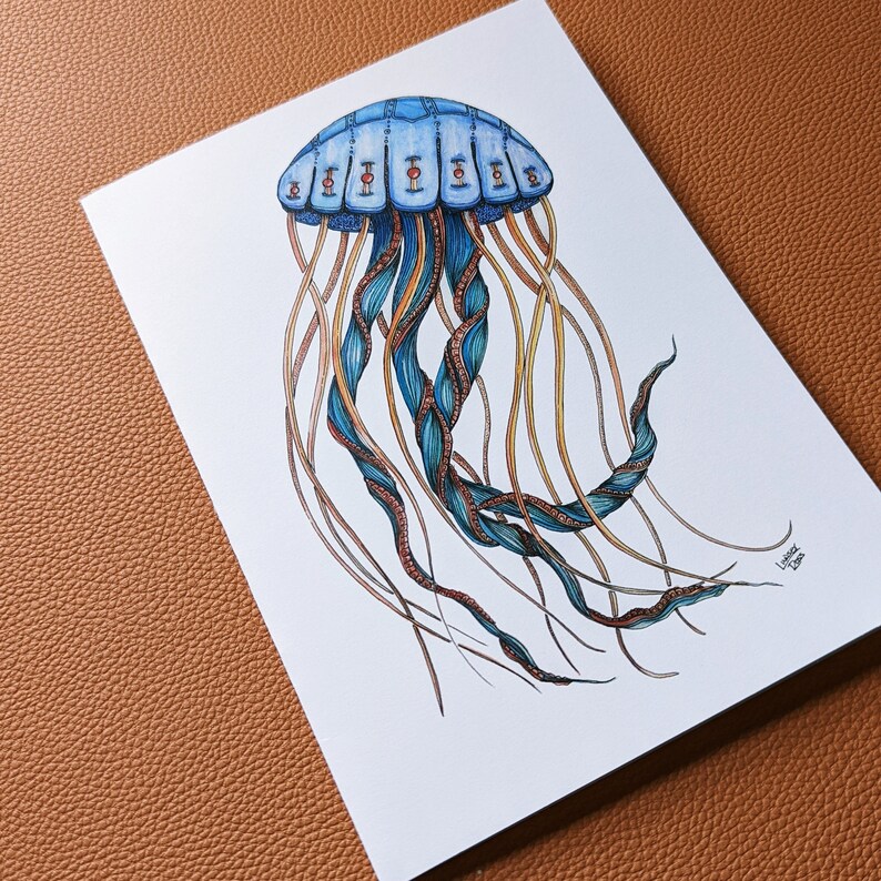 Puede incluir: Una medusa azul y marr&oacute;n con una ilustraci&oacute;n detallada de su campana y tent&aacute;culos. La medusa tiene una campana circular con un patr&oacute;n de rayas azules y blancas y una serie de puntos rojos. Los tent&aacute;culos son largos y fluidos, con una mezcla de colores azules y marrones.