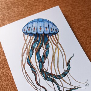 Puede incluir: Una medusa azul y amarilla con una ilustraci&oacute;n detallada de sus tent&aacute;culos y campana. La campana tiene un patr&oacute;n de cuadrados azules y blancos.