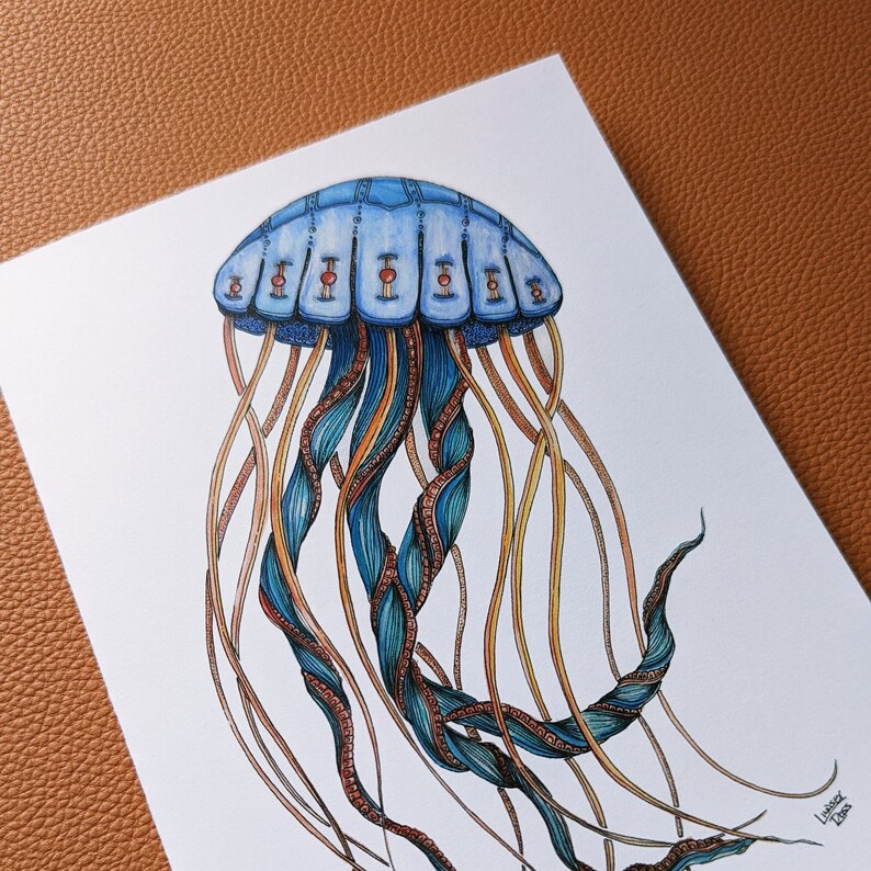 Puede incluir: Una medusa azul y amarilla con una ilustraci&oacute;n detallada de sus tent&aacute;culos y campana. La campana tiene un patr&oacute;n de cuadrados azules y blancos.