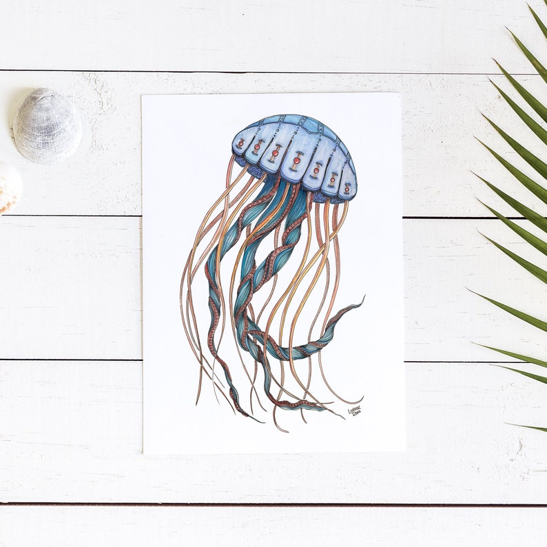 Puede incluir: Una medusa azul y naranja con una campana detallada y estampada y largos tent&aacute;culos flotantes. La medusa est&aacute; dibujada en un estilo realista con detalles intrincados.