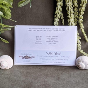May include: White card with blue text that reads "Can you find the ten Prince Edward Island items that are hidden across the province?"  The card lists ten items: Blue Jay, Lupins, Skunk, Red Fox, Raccoon, Piping Plovers, Lady's Slipper, Cattails, American Robin, Chickadee.  The card also has the text "Lindsey Ross" and "Wild Island" with a website address.