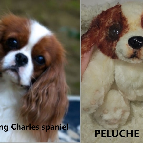 Cavalier King Charles Spaniel, Hundeportrait, realistischer Plüsch, Tierportrait, Hundereplik, realistische Kuscheltiere