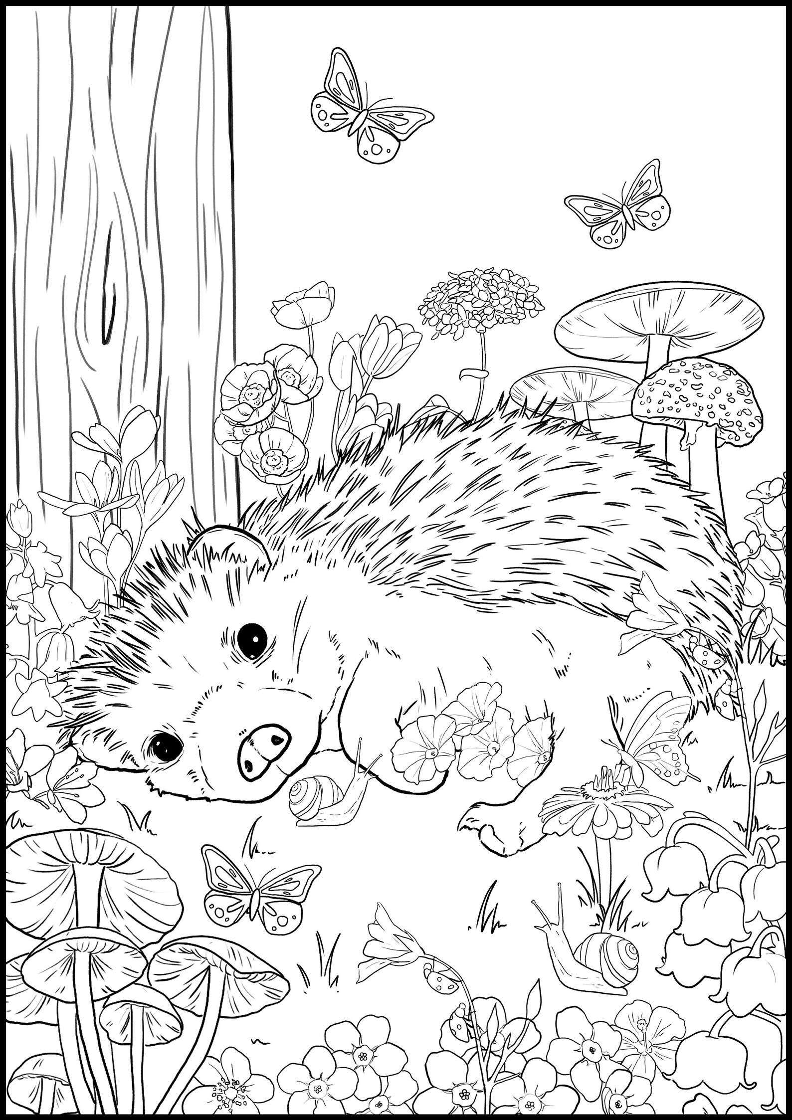 Baby Animals Adult Coloring Book | 25 Coloring Pages for Grownups - Etsy