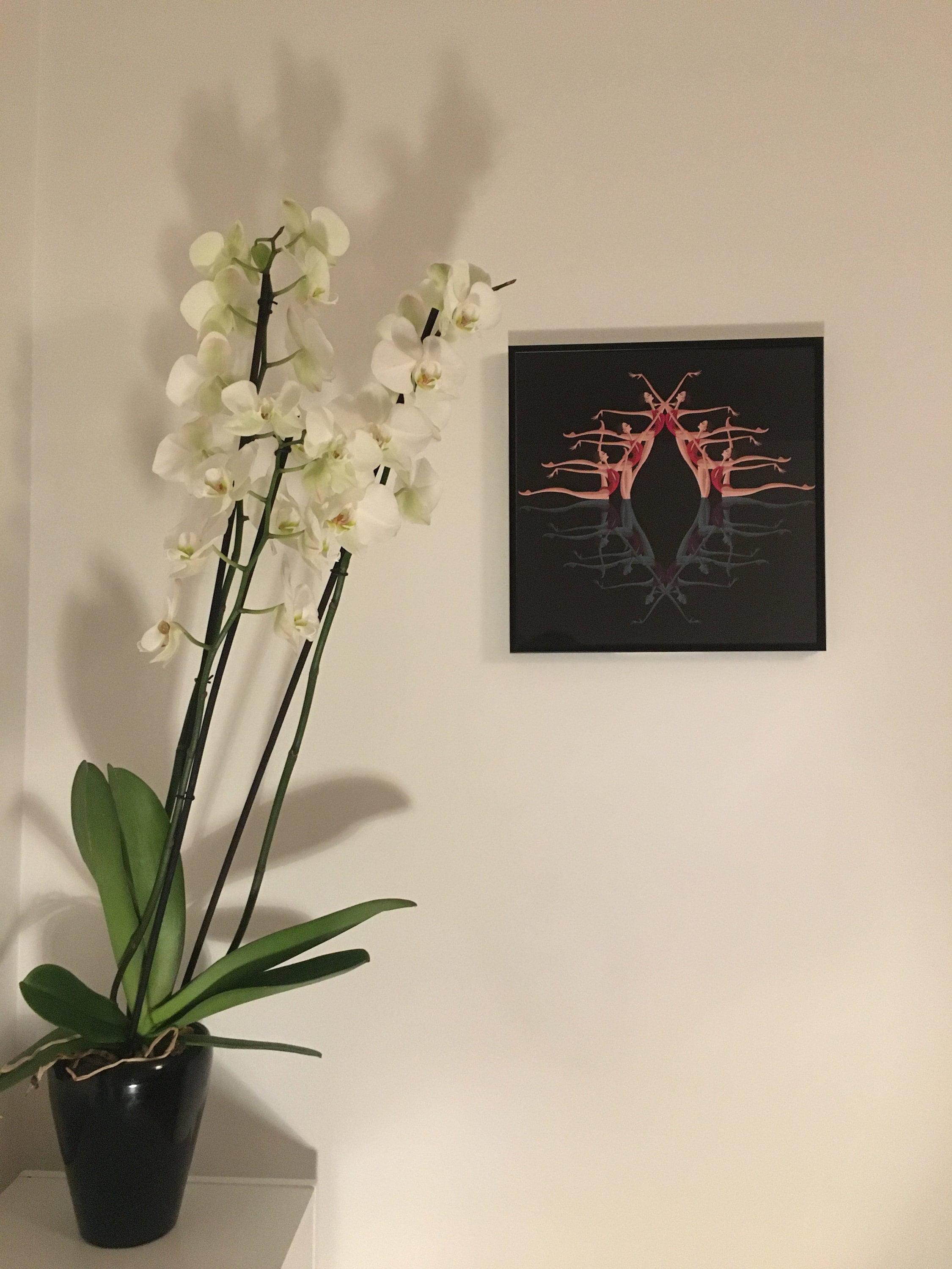 Impression de Natation Artistique