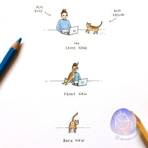 Pode incluir: Uma ilustra&ccedil;&atilde;o desenhada &agrave; m&atilde;o de uma mulher trabalhando em um laptop com um gato pulando em suas costas. O gato &eacute; mostrado de frente, de costas e de lado. A legenda diz "a cena do crime".