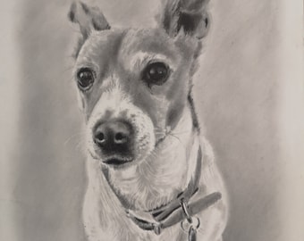 Hand drawn pencil potrait | Pencil pet portrait | Cat portrait | Pet drawing | Dog portrait | Dog drawing | Horse portrait | Dog art | Pets