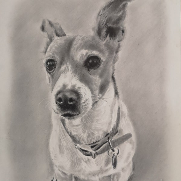 Hand drawn pencil potrait | Pencil pet portrait | Cat portrait | Pet drawing | Dog portrait | Dog drawing | Horse portrait | Dog art | Pets