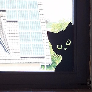 Könnte beinhalten: Eine schwarze Katzensilhouette, die durch ein Fenster schaut, mit einem Ziegeldach und Solarpaneelen im Hintergrund.