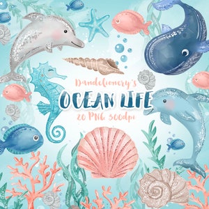Aquarel Ocean Life Clipart, Zeedieren Downloaden, Instant Download, haai, dolfijn, slak, zeester, Zeepaardje