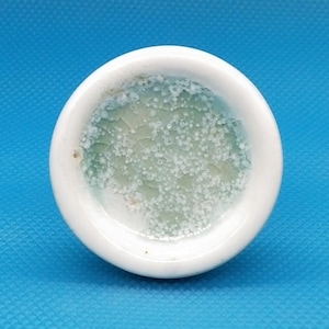 Peut inclure: Un petit plat en céramique blanche avec un glaçage vert clair et des mouchetures blanches.