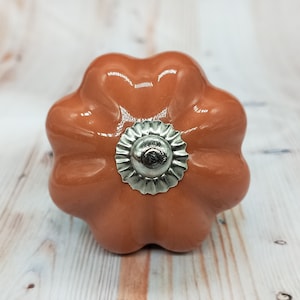May include: A ceramic pumpkin-shaped knob with a silver metal accent. The knob is a light orange colour.