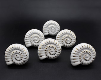 Off White Snail Shell Shaped Hand Painted Ceramic knobs / Ceramic Drawer Pulls /Cabinet Knobs/ Kitchen Cabinet Door Handles / Cupboard Knobs