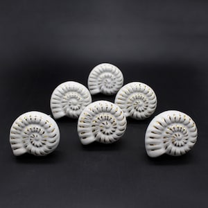 Può includere: Sei pomelli per mobili in ceramica bianca a forma di conchiglia con dettagli dorati. I pomelli hanno un design a spirale.
