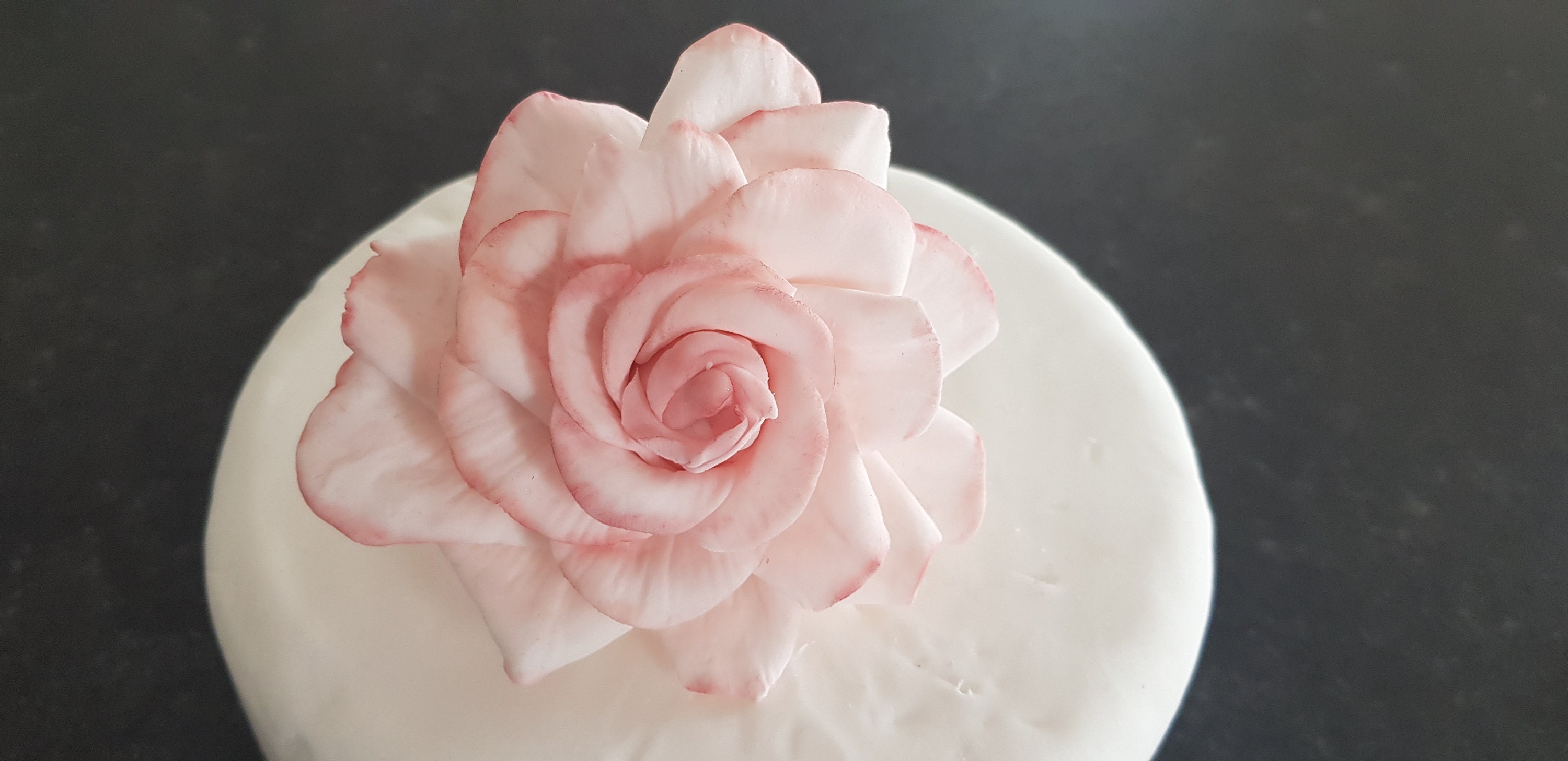 Realistic handmade fondant sugar handmade fondant sugar | Etsy