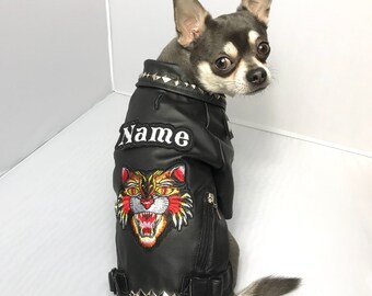 chihuahua leather jacket