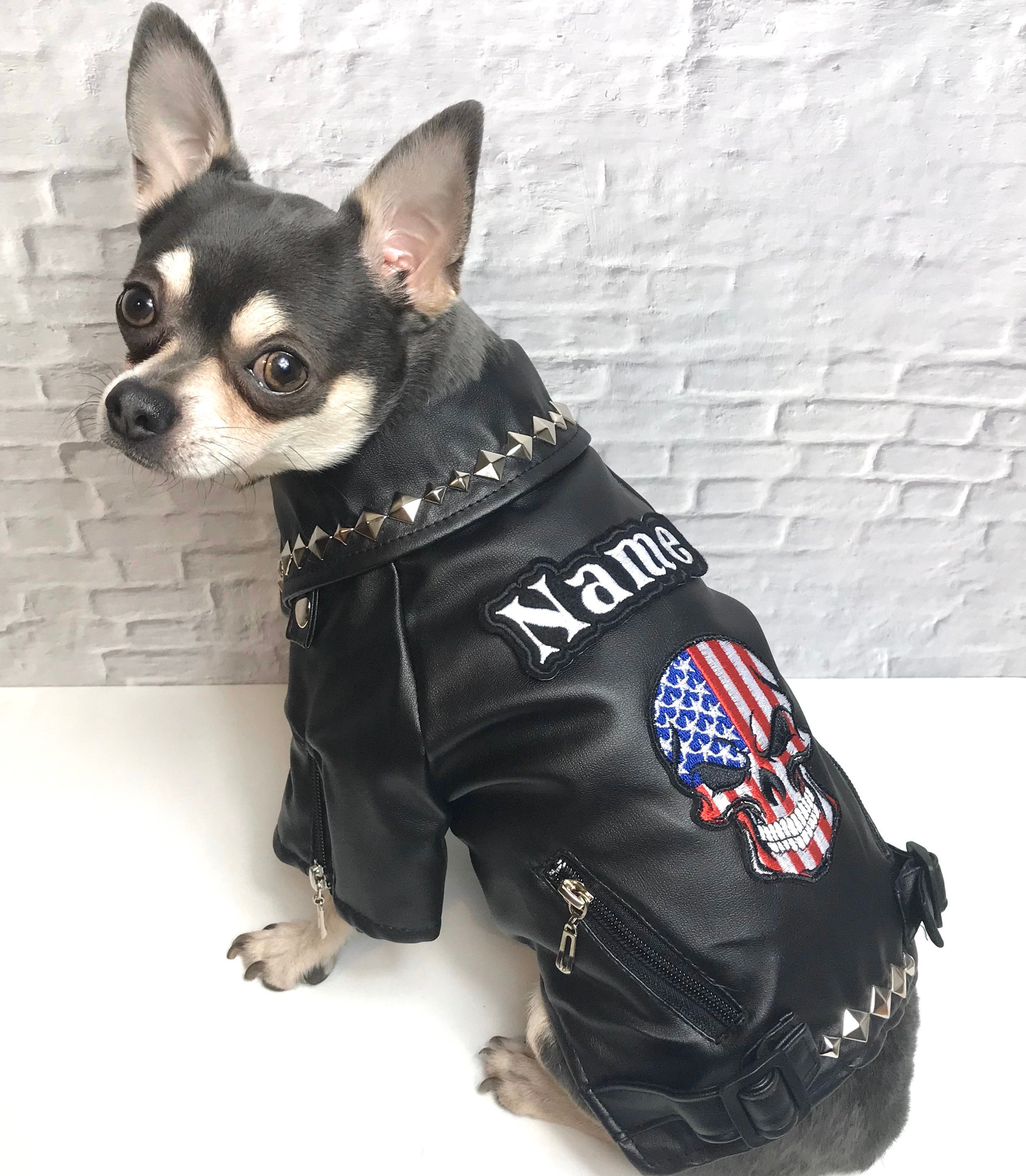 dog punk jacket
