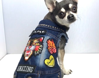 dog battle jacket