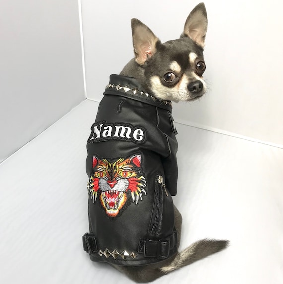 dog leather coat