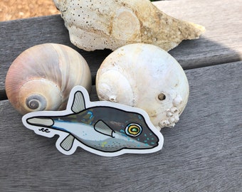 Sharpnose Puffer Aufkleber