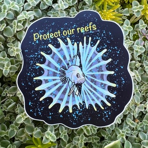 May include: A black and blue sticker with a stylized illustration of a fish with a large fin. The sticker has the text "Protect our reefs" in yellow lettering.
