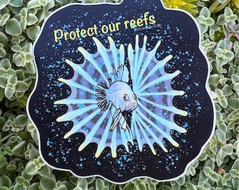 Lionfish larvae