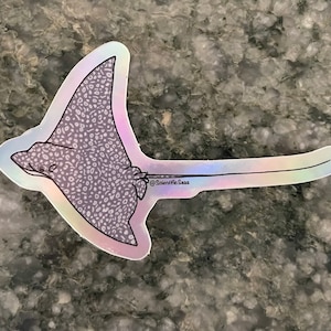 Holographische Adler Ray Aufkleber
