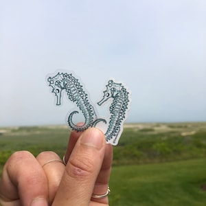 Seahorse Sticker!