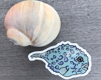 May include: A blue and white illustrated sticker of a pufferfish with a large eye. The sticker is on a gray wooden surface next to a large seashell.