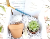 DIY Succulent box with greeting card DIY Gift Box