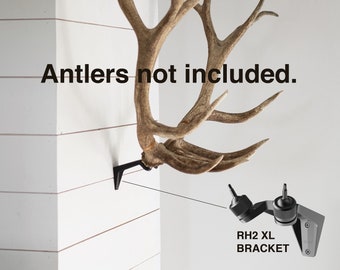 Blemished RACK HUB® RH2 XL match set antler mount / moose antlers / elk antlers / stag antlers / caribou antlers / antler taxidermy / decor