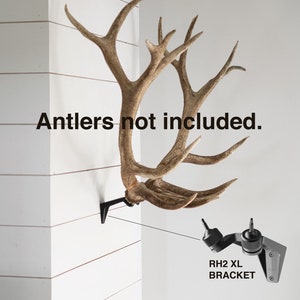 Blemished RACK HUB® RH2 XL match set antler mount / moose antlers / elk antlers / stag antlers / caribou antlers / antler taxidermy / decor image 1