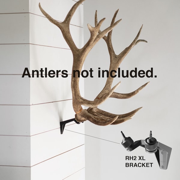 Blemished RACK HUB® RH2 XL match set antler mount / moose antlers / elk antlers / stag antlers / caribou antlers / antler taxidermy / decor