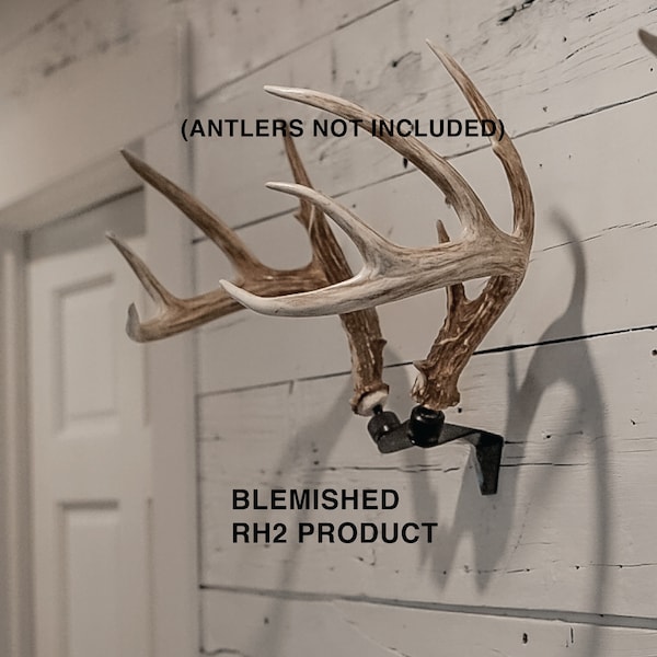 Blemished RACK HUB® RH2 / match set antler mount / shed antler display / trophy mount / deer antlers / deer taxidermy / antler decor