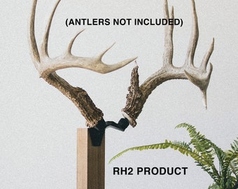 RACK HUB® RH2 match set antler mount / shed antler / trophy mount / deer antlers / deer taxidermy / antler decor / whitetail / mule deer